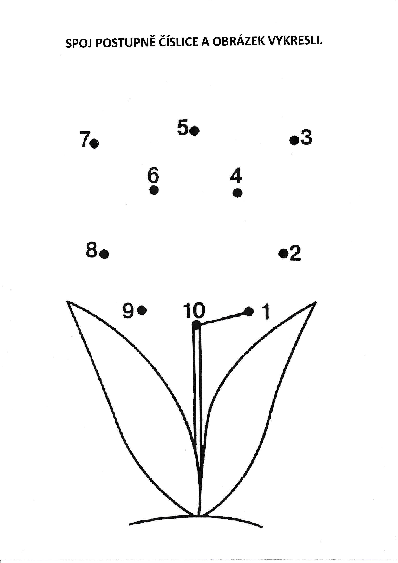 Matematické představy 1